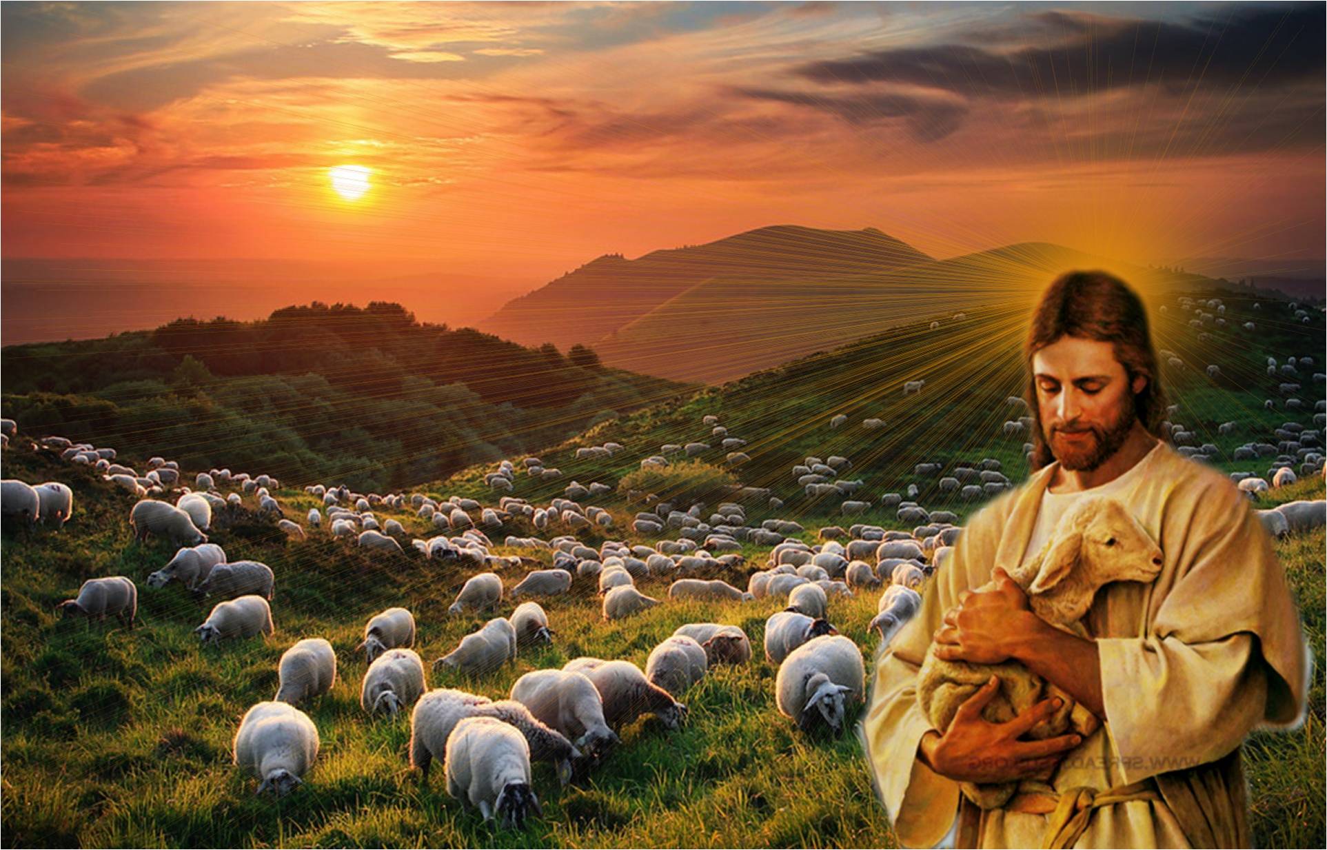 gospodin-je-pastir-moj-ni-u-em-ja-ne-oskudijevam-dnevno-hr